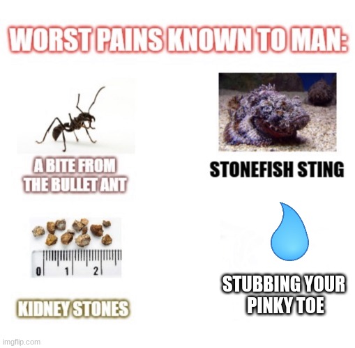 pain | STUBBING YOUR 
PINKY TOE | image tagged in most painful things known to man | made w/ Imgflip meme maker