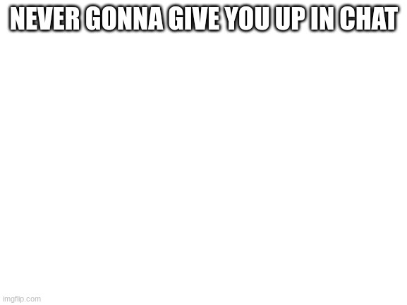 Blank White Template | NEVER GONNA GIVE YOU UP IN CHAT | image tagged in blank white template | made w/ Imgflip meme maker