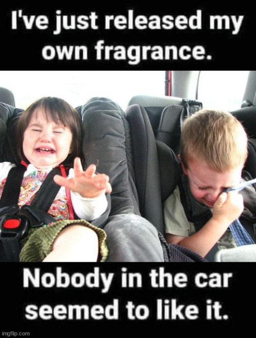 image tagged in crying kids in car | made w/ Imgflip meme maker