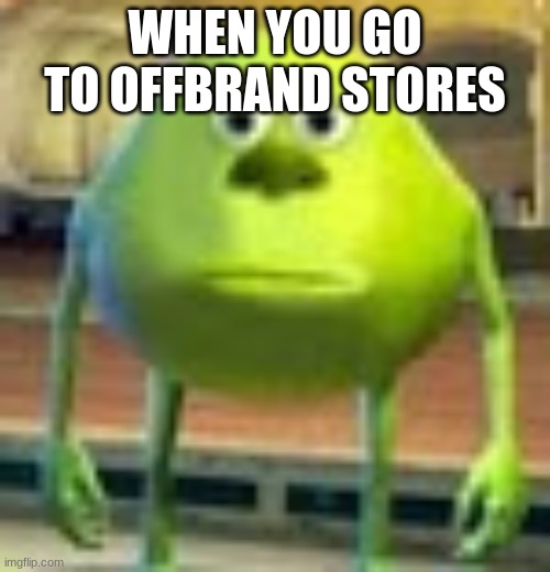 Sully Wazowski | WHEN YOU GO TO OFFBRAND STORES | image tagged in sully wazowski | made w/ Imgflip meme maker