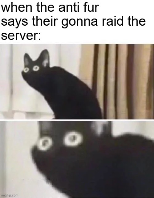 Oh No Black Cat | when the anti fur
says their gonna raid the
server: | image tagged in oh no black cat | made w/ Imgflip meme maker