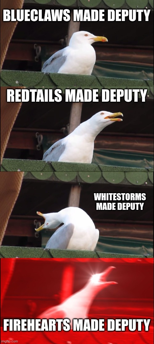 Tigerclaw be like | BLUECLAWS MADE DEPUTY; REDTAILS MADE DEPUTY; WHITESTORMS MADE DEPUTY; FIREHEARTS MADE DEPUTY | image tagged in memes,inhaling seagull | made w/ Imgflip meme maker