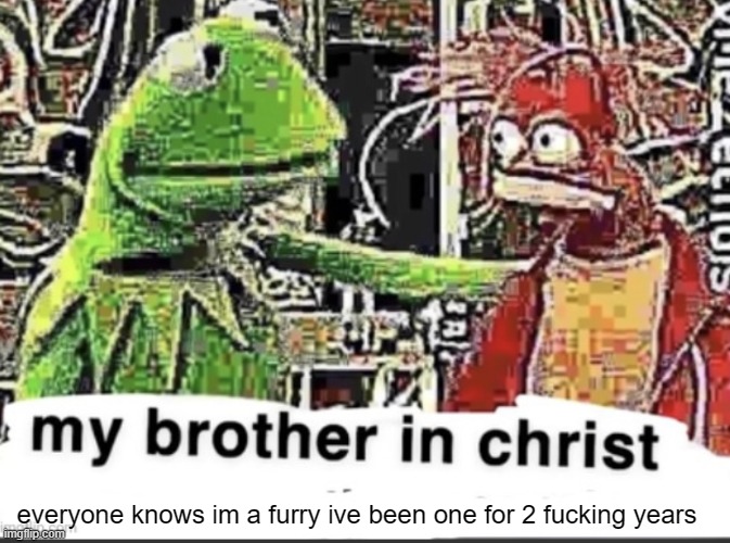 my brother in christ | everyone knows im a furry ive been one for 2 fucking years | image tagged in my brother in christ | made w/ Imgflip meme maker