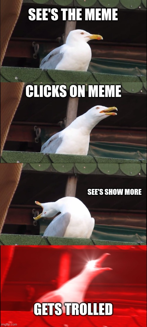 Inhaling Seagull Meme | SEE'S THE MEME CLICKS ON MEME SEE'S SHOW MORE GETS TROLLED | image tagged in memes,inhaling seagull | made w/ Imgflip meme maker
