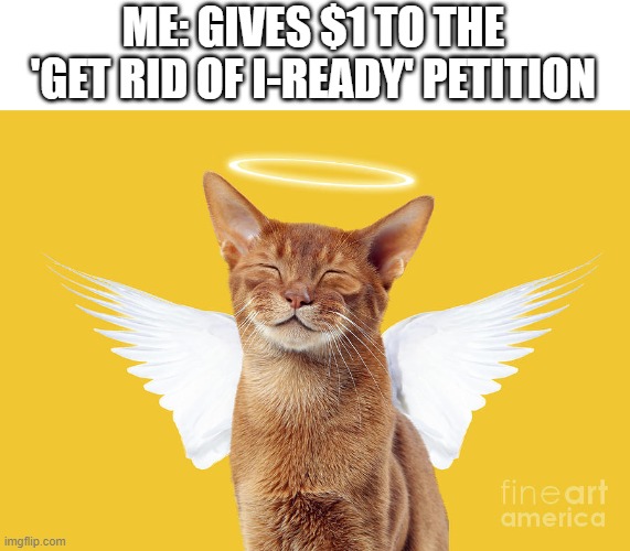 Angel Cato | ME: GIVES $1 TO THE 'GET RID OF I-READY' PETITION | image tagged in angel cato | made w/ Imgflip meme maker