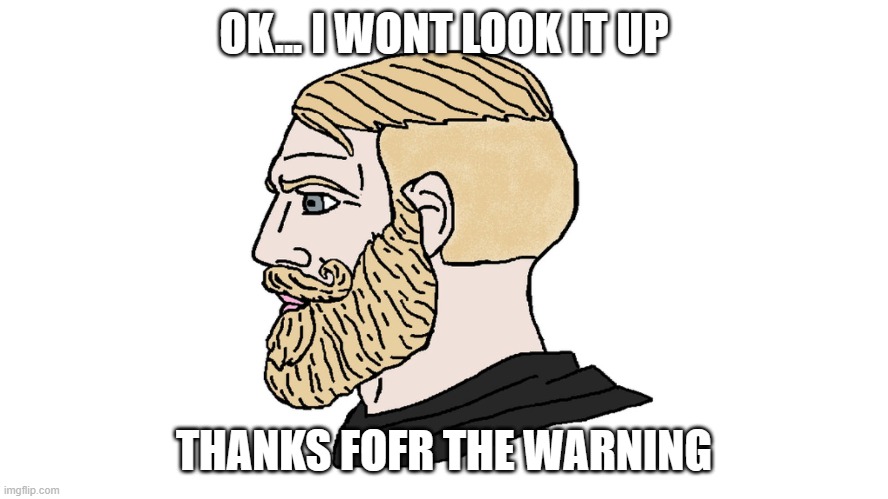 chad yes | OK... I WONT LOOK IT UP THANKS FOFR THE WARNING | image tagged in chad yes | made w/ Imgflip meme maker