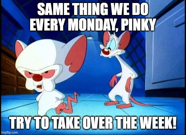 Same thing we do every Monday! | SAME THING WE DO EVERY MONDAY, PINKY; TRY TO TAKE OVER THE WEEK! | image tagged in pinky and the brain monday,monday | made w/ Imgflip meme maker