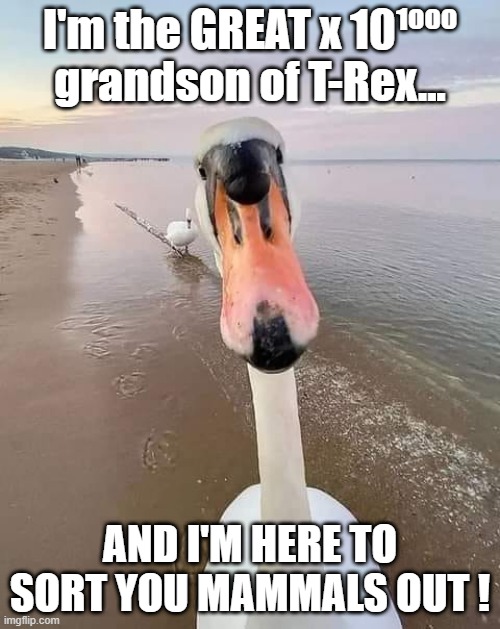 T-Dux is coming | I'm the GREAT x 10¹⁰⁰⁰
grandson of T-Rex... AND I'M HERE TO SORT YOU MAMMALS OUT ! | image tagged in duck,dinosaur,tyrannosaurus rex,t-rex,revenge | made w/ Imgflip meme maker