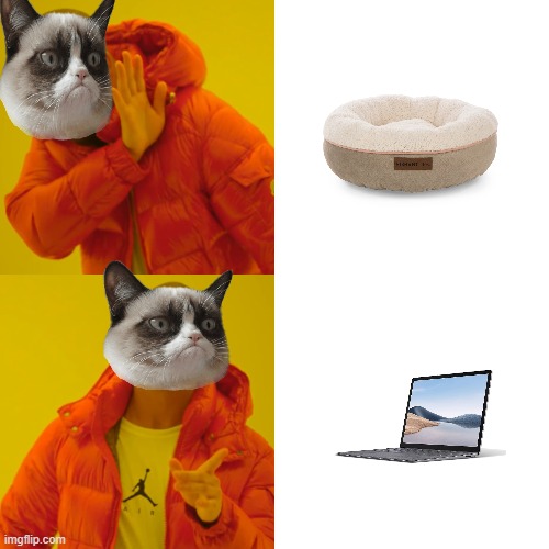 why why | image tagged in memes,drake hotline bling,cats | made w/ Imgflip meme maker
