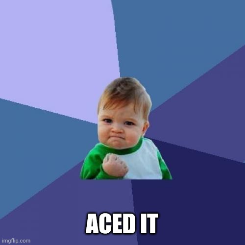 Success Kid Meme | ACED IT | image tagged in memes,success kid | made w/ Imgflip meme maker
