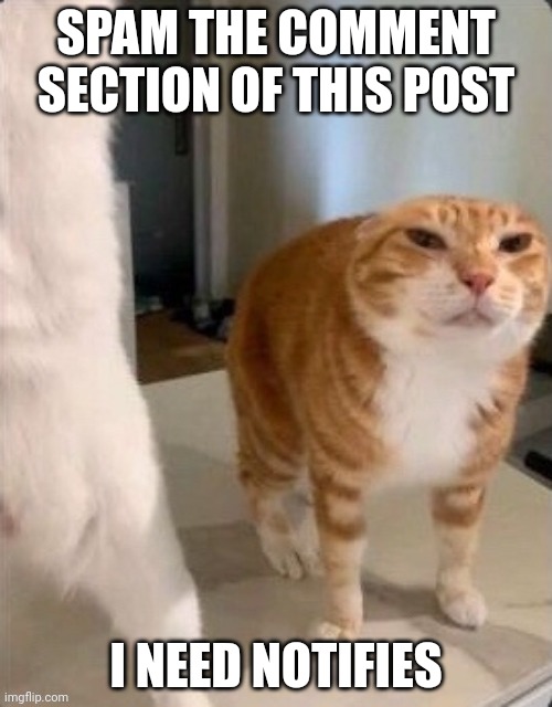 Schizophrenic Cat.pdf | SPAM THE COMMENT SECTION OF THIS POST; I NEED NOTIFIES | image tagged in schizophrenic cat pdf | made w/ Imgflip meme maker