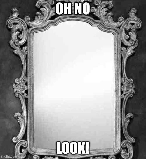 OH NO LOOK! | image tagged in mirror | made w/ Imgflip meme maker