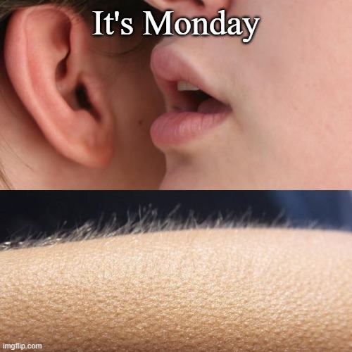 Hope you survive the slowest day of the week once again! I wish u the best of luck | It's Monday | image tagged in whisper and goosebumps | made w/ Imgflip meme maker