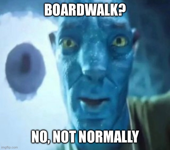 Board is wood | BOARDWALK? NO, NOT NORMALLY | image tagged in avatar guy,fun,funny,avatar,memes | made w/ Imgflip meme maker
