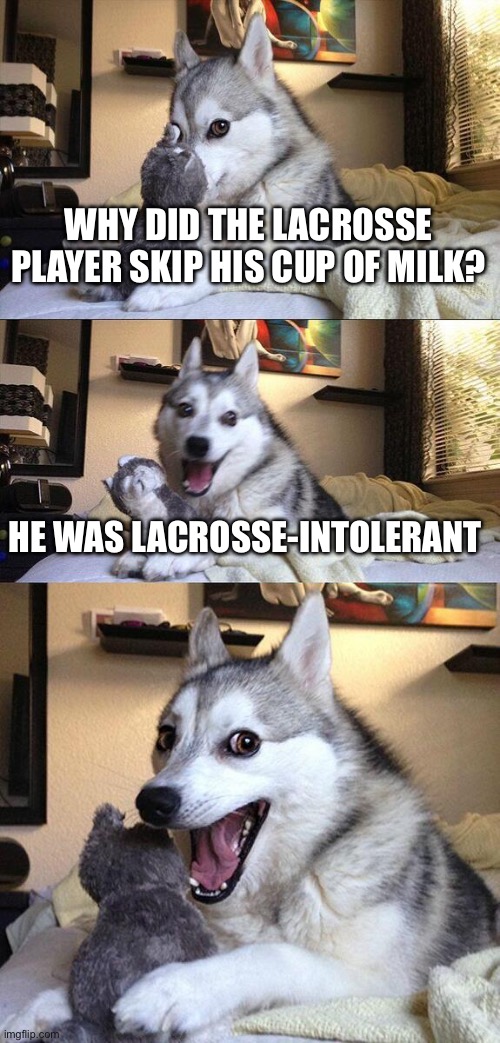 mmmmmm | WHY DID THE LACROSSE PLAYER SKIP HIS CUP OF MILK? HE WAS LACROSSE-INTOLERANT | image tagged in memes,bad pun dog | made w/ Imgflip meme maker