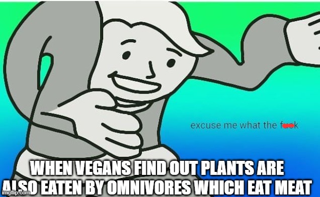 Fallout boy excuse me wyf | WHEN VEGANS FIND OUT PLANTS ARE ALSO EATEN BY OMNIVORES WHICH EAT MEAT | image tagged in fallout boy excuse me wyf | made w/ Imgflip meme maker