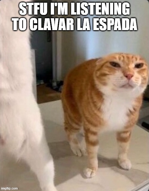 Schizophrenic Cat.pdf | STFU I'M LISTENING TO CLAVAR LA ESPADA | image tagged in schizophrenic cat pdf | made w/ Imgflip meme maker