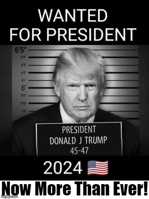 Take Our Country Back From Those Who Hate Her & Want to Destroy Her | Now More Than Ever! | image tagged in political meme,donald trump,donald trump approves,wanted poster,wanted,potus | made w/ Imgflip meme maker