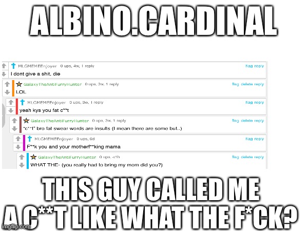 Wow how did we get here. (I'll do what I can) | ALBINO.CARDINAL; THIS GUY CALLED ME A C**T LIKE WHAT THE F*CK? | made w/ Imgflip meme maker