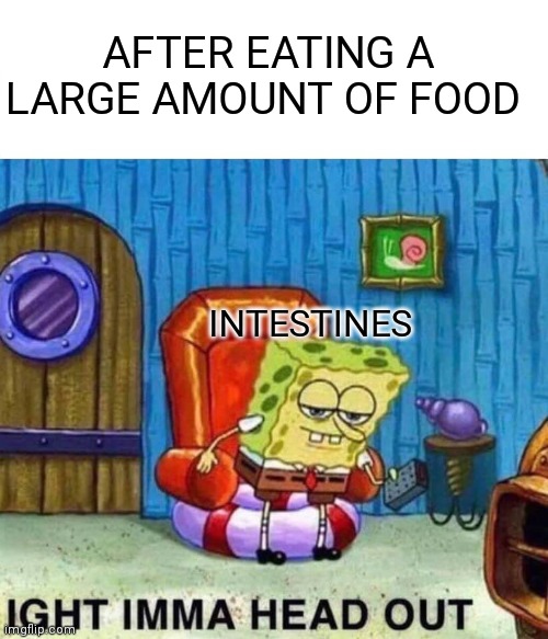 Spongebob Ight Imma Head Out | AFTER EATING A LARGE AMOUNT OF FOOD; INTESTINES | image tagged in memes,spongebob ight imma head out,funny memes,spongebob,lol so funny,meme | made w/ Imgflip meme maker