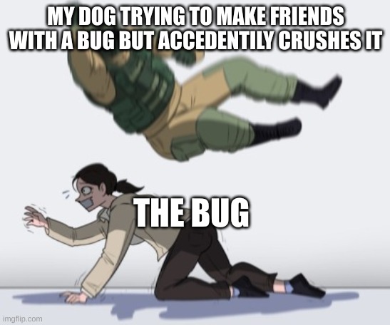 Stopping from getting | MY DOG TRYING TO MAKE FRIENDS WITH A BUG BUT ACCEDENTILY CRUSHES IT; THE BUG | image tagged in stopping from getting | made w/ Imgflip meme maker