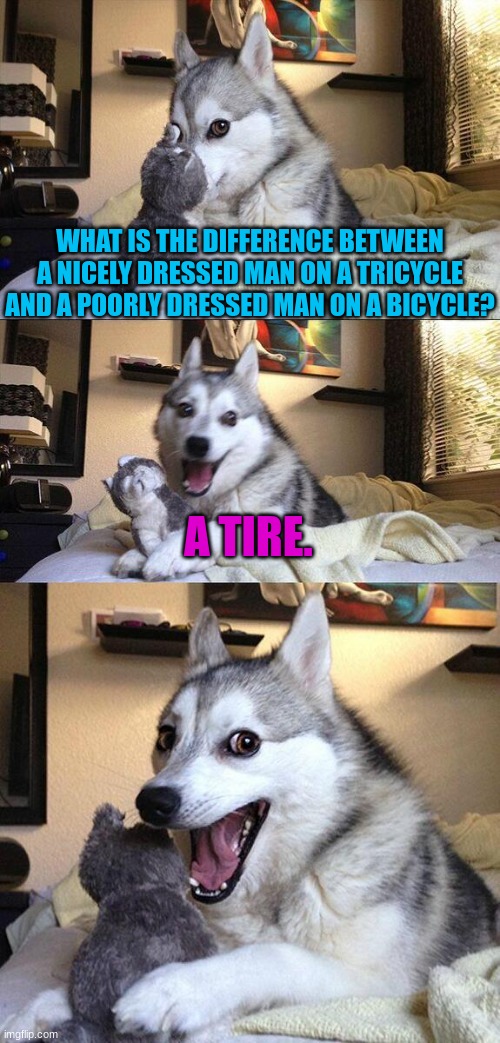 Bad Pun Dog Meme | WHAT IS THE DIFFERENCE BETWEEN A NICELY DRESSED MAN ON A TRICYCLE AND A POORLY DRESSED MAN ON A BICYCLE? A TIRE. | image tagged in memes,bad pun dog,dad joke,funny | made w/ Imgflip meme maker