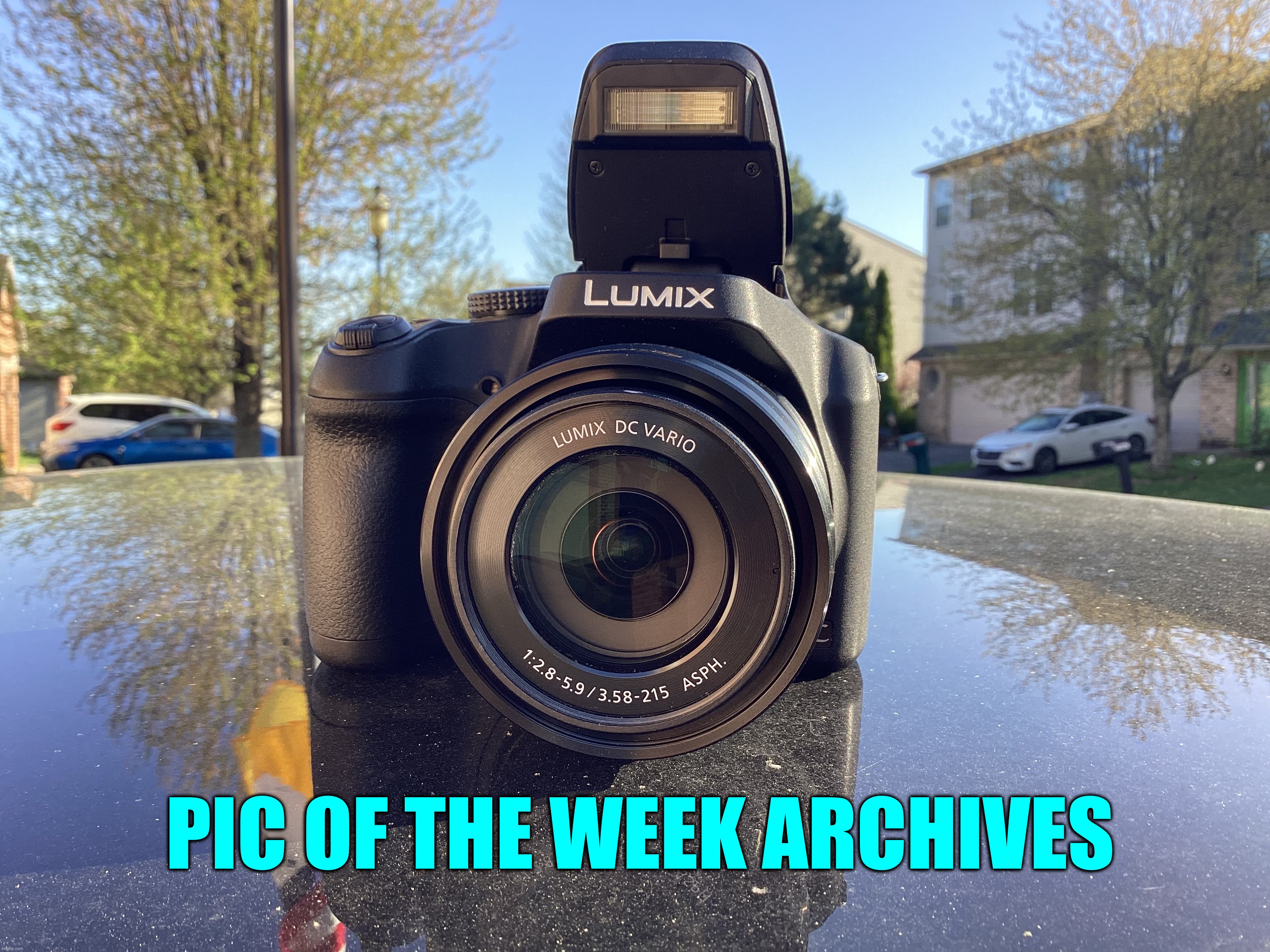 Photos for Pic of the Week will be posted here each Monday. (Non pic of the week award comments will be deleted by Iceu) | PIC OF THE WEEK ARCHIVES | image tagged in share your own photos,archives | made w/ Imgflip meme maker