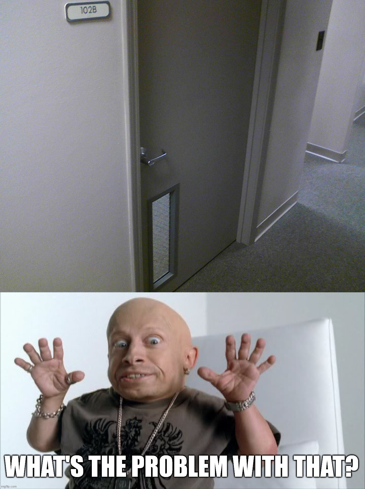 WHAT'S THE PROBLEM WITH THAT? | image tagged in midget | made w/ Imgflip meme maker