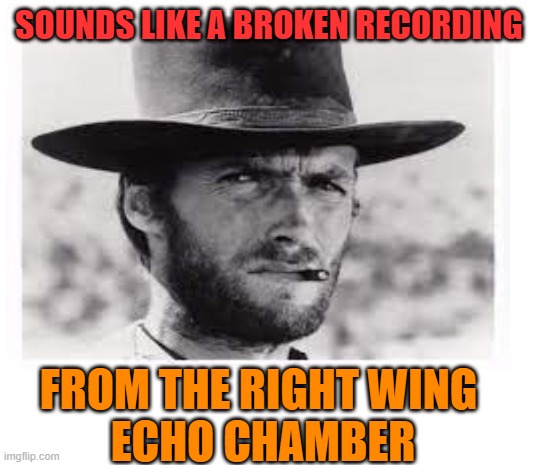 SOUNDS LIKE A BROKEN RECORDING FROM THE RIGHT WING 
ECHO CHAMBER | made w/ Imgflip meme maker