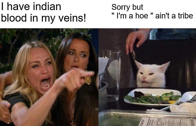 Woman Yelling At Cat | I have indian blood in my veins! Sorry but 
" I'm a hoe " ain't a tribe | image tagged in memes,woman yelling at cat | made w/ Imgflip meme maker