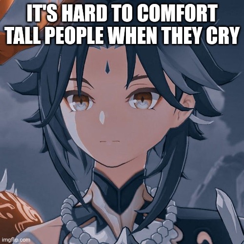 I'm not kidding | IT'S HARD TO COMFORT TALL PEOPLE WHEN THEY CRY | image tagged in my announcement | made w/ Imgflip meme maker