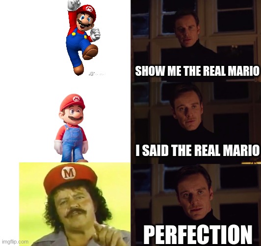 perfection | SHOW ME THE REAL MARIO; I SAID THE REAL MARIO; PERFECTION | image tagged in perfection | made w/ Imgflip meme maker