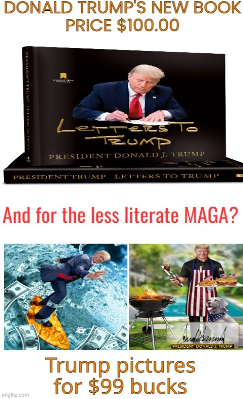 They like pictures | image tagged in donald trump,maga,book,nft,politics | made w/ Imgflip meme maker