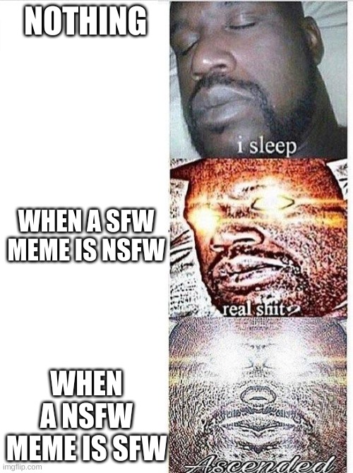 I sleep meme with ascended template | NOTHING; WHEN A SFW MEME IS NSFW; WHEN A NSFW MEME IS SFW | image tagged in i sleep meme with ascended template,nsfw | made w/ Imgflip meme maker