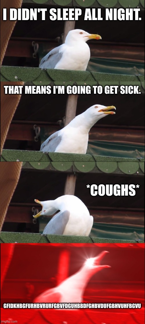 Inhaling Seagull Meme | I DIDN'T SLEEP ALL NIGHT. THAT MEANS I'M GOING TO GET SICK. *COUGHS*; GFIDKHBGFURHBVRURFGBVFDGUHBBDFGHBVDUFGBHVUHFBGVU | image tagged in memes,inhaling seagull | made w/ Imgflip meme maker