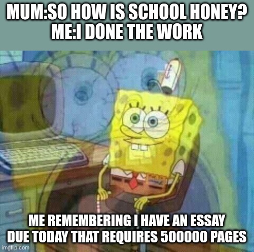 please help! | MUM:SO HOW IS SCHOOL HONEY?
ME:I DONE THE WORK; ME REMEMBERING I HAVE AN ESSAY DUE TODAY THAT REQUIRES 500000 PAGES | image tagged in spongebob panic inside | made w/ Imgflip meme maker