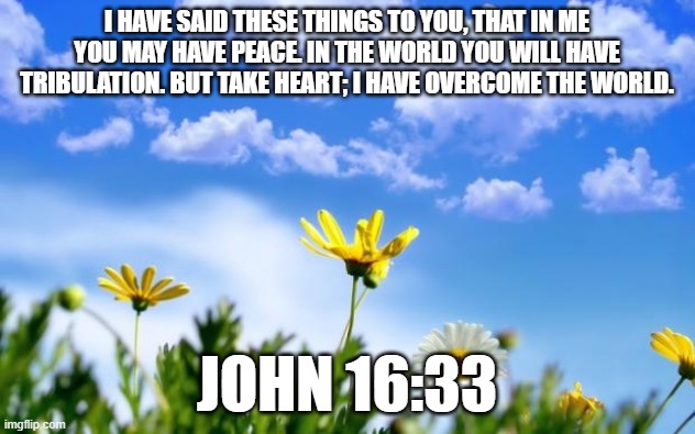 Spring | I HAVE SAID THESE THINGS TO YOU, THAT IN ME YOU MAY HAVE PEACE. IN THE WORLD YOU WILL HAVE TRIBULATION. BUT TAKE HEART; I HAVE OVERCOME THE WORLD. JOHN 16:33 | image tagged in spring | made w/ Imgflip meme maker