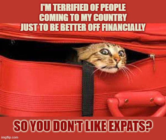This #lolcat wonders why we don't want others to be better off financially | I'M TERRIFIED OF PEOPLE
COMING TO MY COUNTRY
JUST TO BE BETTER OFF FINANCIALLY; SO YOU DON'T LIKE EXPATS? | image tagged in lolcat,expats,refugees,finance,selfishness,think about it | made w/ Imgflip meme maker