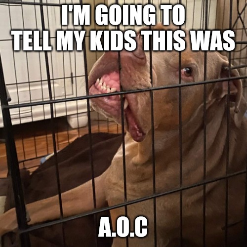 Johnny Hollywood | I'M GOING TO TELL MY KIDS THIS WAS; A.O.C | image tagged in johnny hollywood | made w/ Imgflip meme maker
