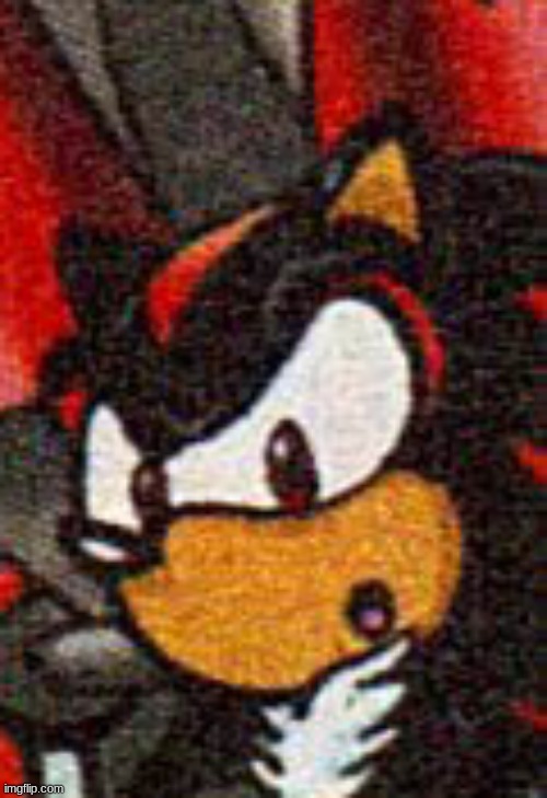 shadow gasp | image tagged in shadow gasp | made w/ Imgflip meme maker