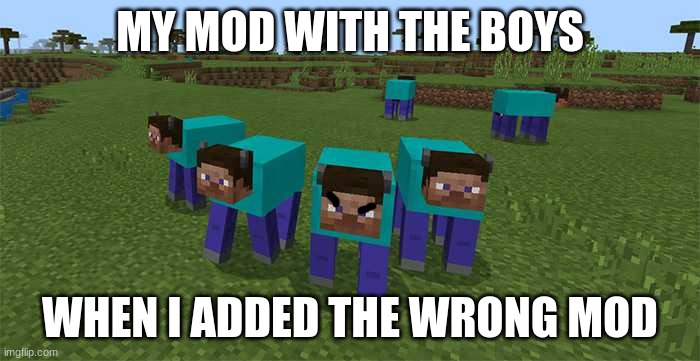 i | MY MOD WITH THE BOYS; WHEN I ADDED THE WRONG MOD | image tagged in me and the boys | made w/ Imgflip meme maker