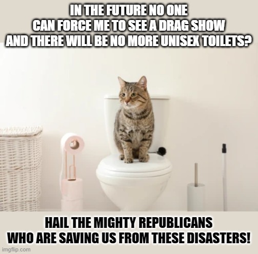 This #lolcat wonders if Republicans should solve our biggest problems | IN THE FUTURE NO ONE
CAN FORCE ME TO SEE A DRAG SHOW
AND THERE WILL BE NO MORE UNISEX TOILETS? HAIL THE MIGHTY REPUBLICANS
WHO ARE SAVING US FROM THESE DISASTERS! | image tagged in republicans,lolcat,first world problems,transphobic,drag queen,transgender bathroom | made w/ Imgflip meme maker