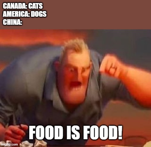Mr incredible mad | CANADA: CATS
AMERICA: DOGS
CHINA:; FOOD IS FOOD! | image tagged in mr incredible mad | made w/ Imgflip meme maker