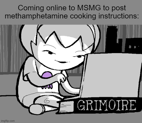Coming online to MSMG to post methamphetamine cooking instructions: | made w/ Imgflip meme maker