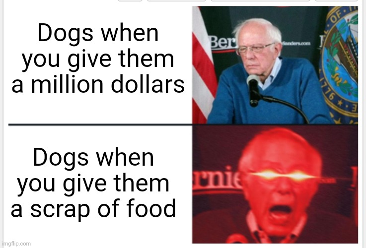 I gave my dog a million dollars. He was so ungrateful... (#820) | Dogs when you give them a million dollars; Dogs when you give them a scrap of food | image tagged in memes,bernie,bernie sanders reaction nuked,dogs,money,food | made w/ Imgflip meme maker