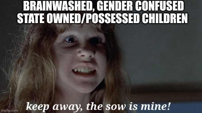 Brainwashed, gender confused state owned/possessed children | BRAINWASHED, GENDER CONFUSED STATE OWNED/POSSESSED CHILDREN | image tagged in the exorcist,transgender,gender confusion,brainwashing,state owned,possessed | made w/ Imgflip meme maker