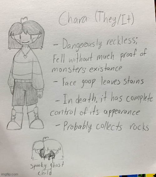 Chara design and headcanon sheet as a sequel to the Frisk one | made w/ Imgflip meme maker