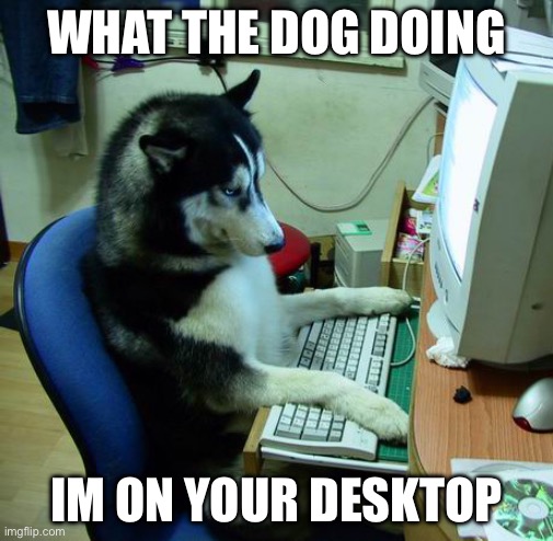 I Have No Idea What I Am Doing | WHAT THE DOG DOING; IM ON YOUR DESKTOP | image tagged in memes,i have no idea what i am doing | made w/ Imgflip meme maker