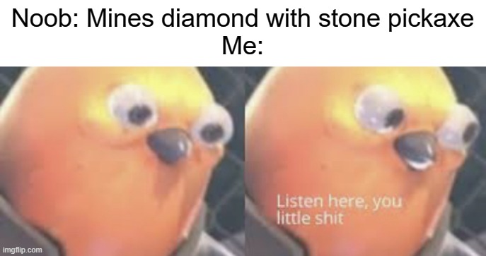 i can't take it! | Noob: Mines diamond with stone pickaxe
Me: | image tagged in listen here you little shit bird,minecraft | made w/ Imgflip meme maker