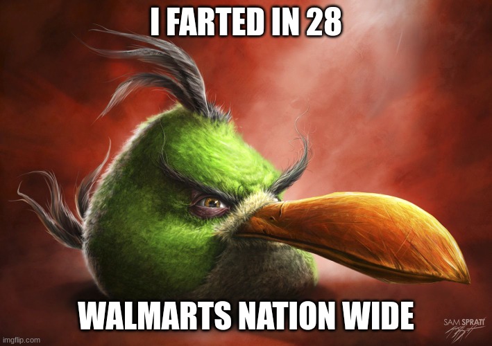 Realistic Angry Bird | I FARTED IN 28; WALMARTS NATION WIDE | image tagged in realistic angry bird | made w/ Imgflip meme maker